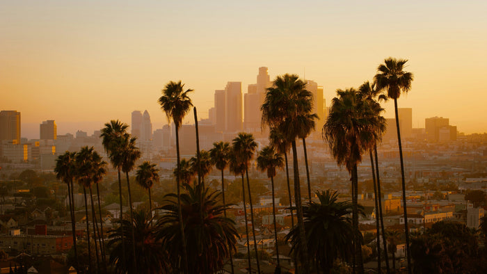 Los Angeles - Best Spot for Showing Off Silver Chains